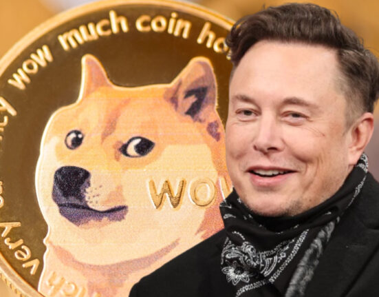 musk-doge