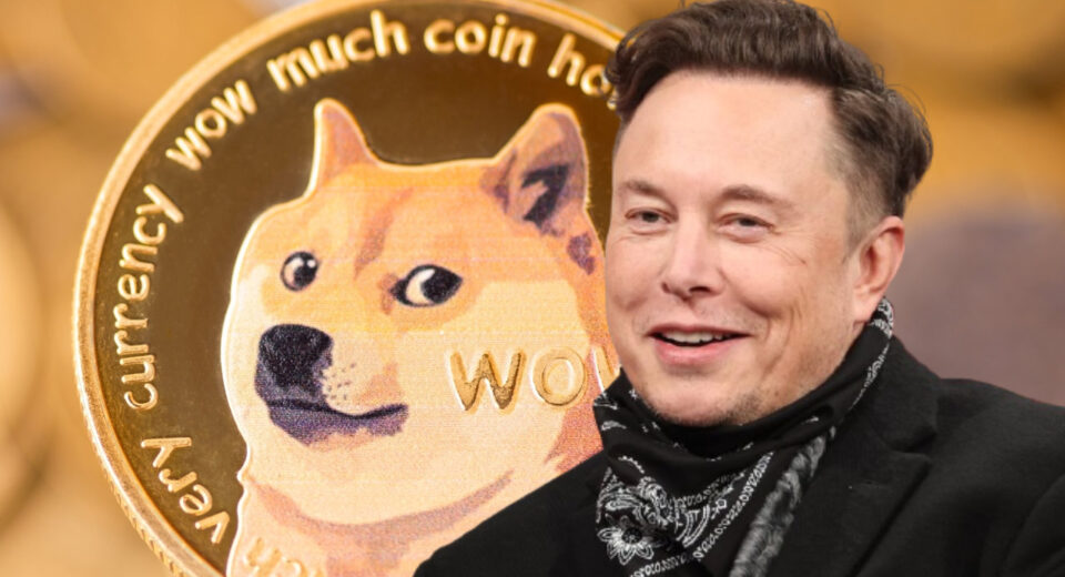 musk-doge